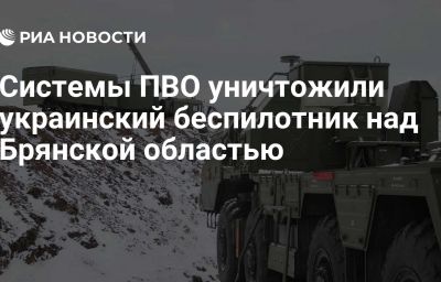 Системы ПВО уничтожили украинский беспилотник над Брянской областью