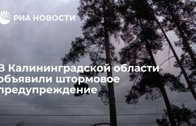 В Калининградской области объявили штормовое предупреждение