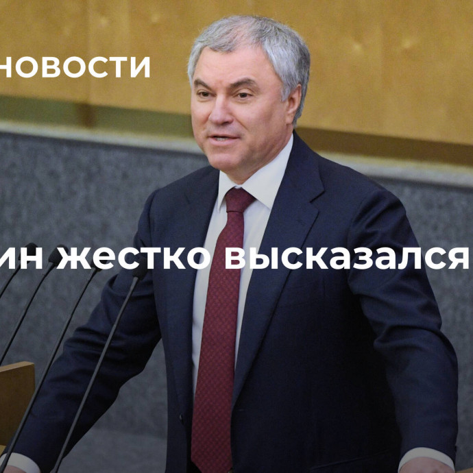 Володин жестко высказался о США