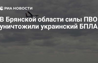 В Брянской области силы ПВО уничтожили украинский БПЛА