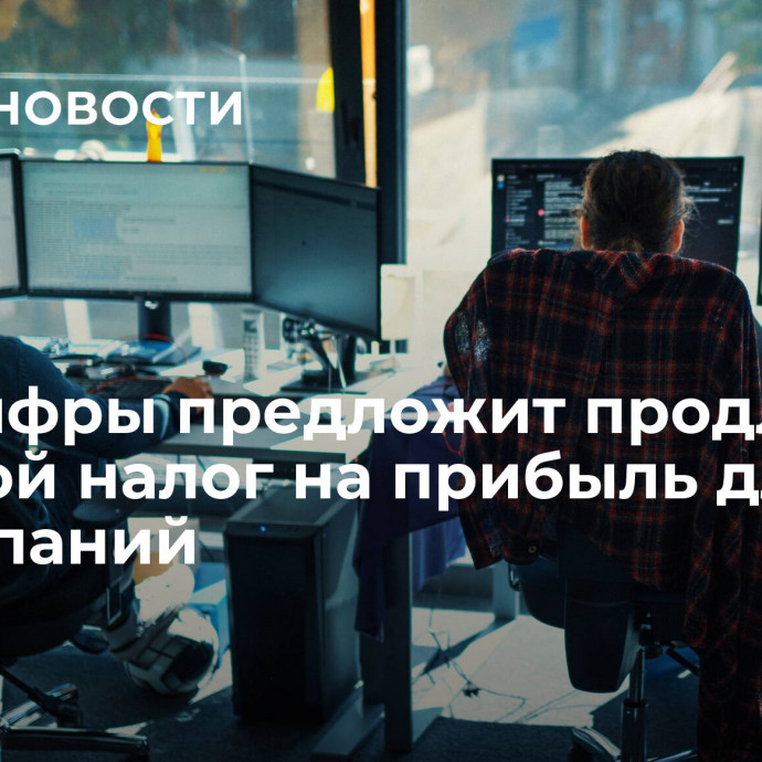 Минцифры предложит продлить нулевой налог на прибыль для IT-компаний