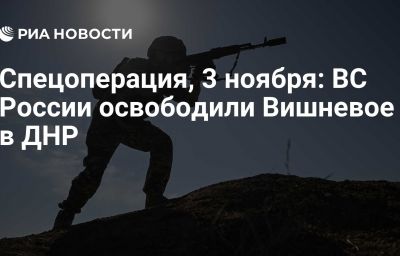 Спецоперация, 3 ноября: ВС России освободили Вишневое в ДНР