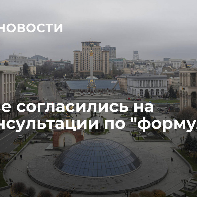 В Киеве согласились на допконсультации по 