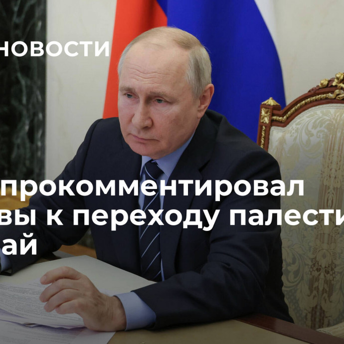 Путин прокомментировал призывы к переходу палестинцев на Синай