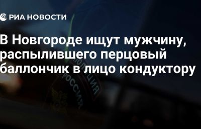 В Новгороде ищут мужчину, распылившего перцовый баллончик в лицо кондуктору