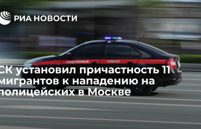 СК установил причастность 11 мигрантов к нападению на полицейских в Москве