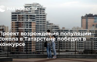 Проект возрождения популяции сокола в Татарстане победил в конкурсе