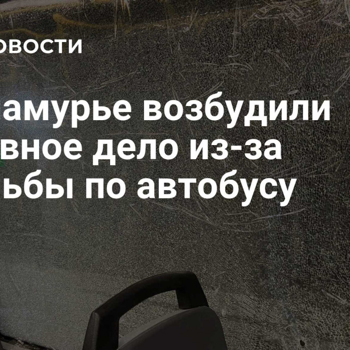 В Приамурье возбудили уголовное дело из-за стрельбы по автобусу