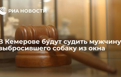 В Кемерове будут судить мужчину, выбросившего собаку из окна