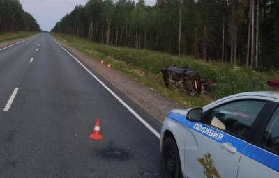 Водитель погиб в ДТП с лосем в Вологодской области