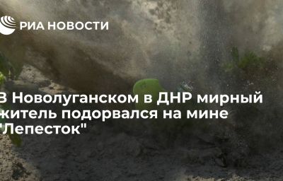 В Новолуганском в ДНР мирный житель подорвался на мине "Лепесток"