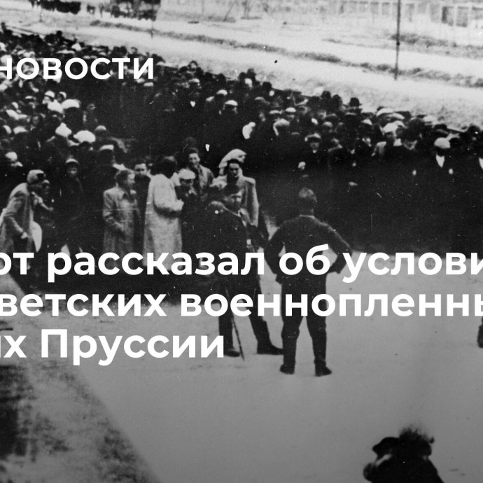 Эксперт рассказал об условиях для советских военнопленных в лагерях Пруссии