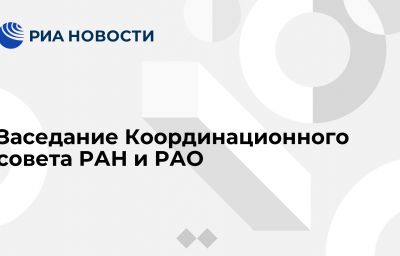 Заседание Координационного совета РАН и РАО