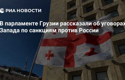 В парламенте Грузии рассказали об уговорах Запада по санкциям против России