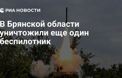 В Брянской области уничтожили еще один беспилотник