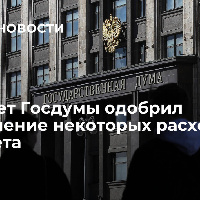 Комитет Госдумы одобрил увеличение некоторых расходов бюджета