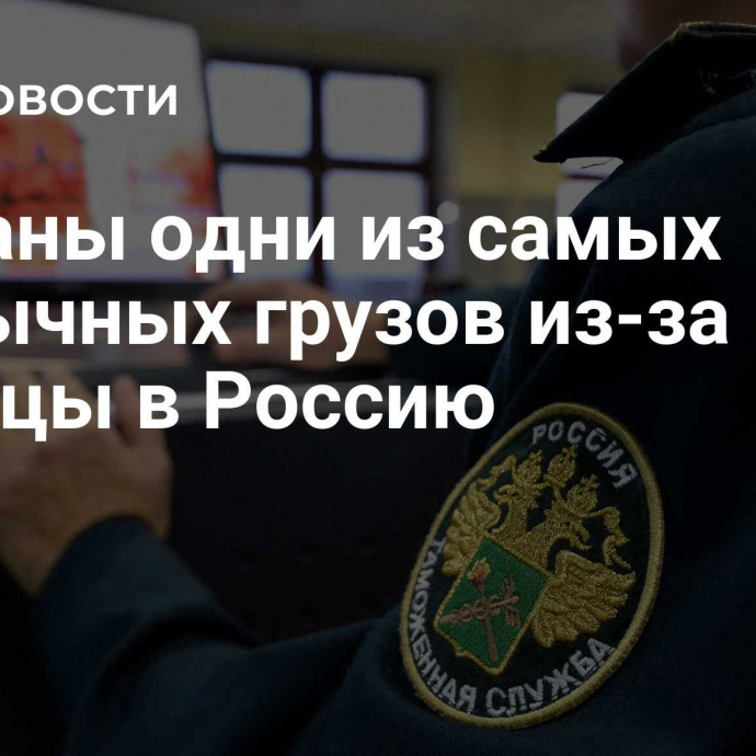 Названы одни из самых необычных грузов из-за границы в Россию