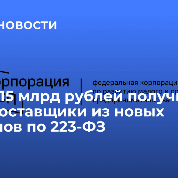 Более 15 млрд рублей получили МСП-поставщики из новых регионов по 223-ФЗ