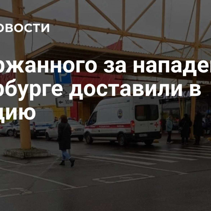 Задержанного за нападение в Петербурге доставили в полицию