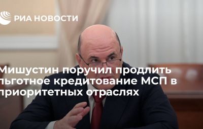 Мишустин поручил продлить льготное кредитование МСП в приоритетных отраслях