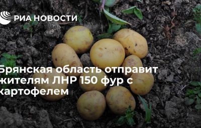 Брянская область отправит жителям ЛНР 150 фур с картофелем