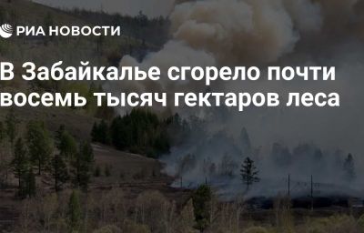 В Забайкалье сгорело почти восемь тысяч гектаров леса