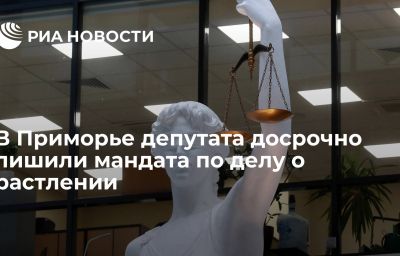 В Приморье депутата досрочно лишили мандата по делу о растлении