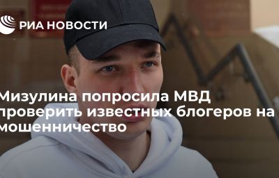 Мизулина попросила МВД проверить известных блогеров на мошенничество