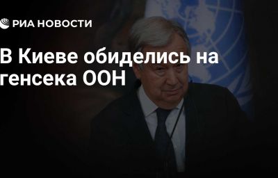 В Киеве обиделись на генсека ООН