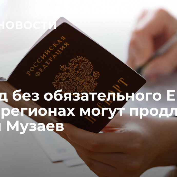 Период без обязательного ЕГЭ в новых регионах могут продлить, заявил Музаев