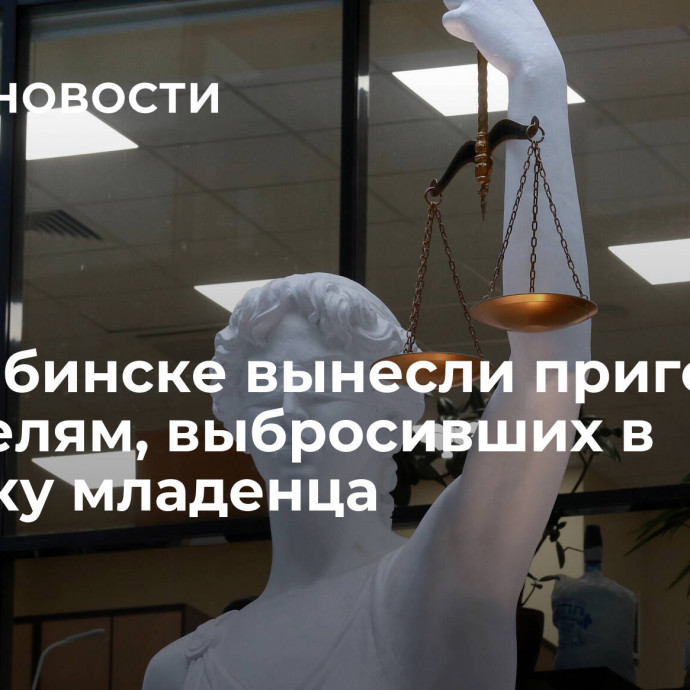 В Челябинске вынесли приговор родителям, выбросивших в мусорку младенца