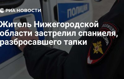 Житель Нижегородской области застрелил спаниеля, разбросавшего тапки