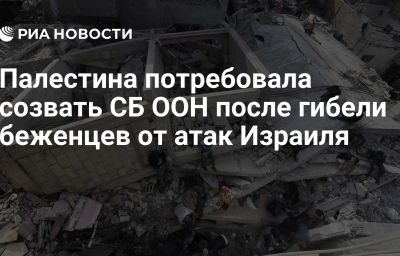 Палестина потребовала созвать СБ ООН после гибели беженцев от атак Израиля