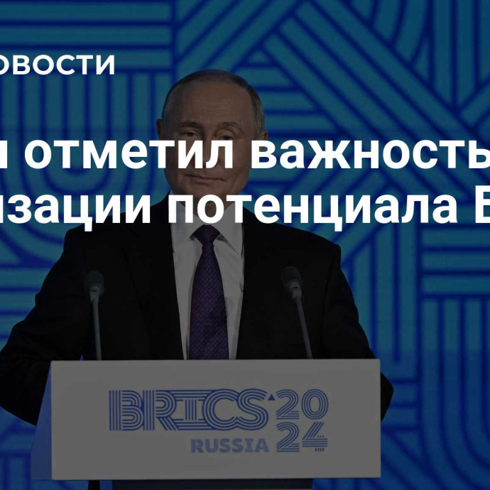 Путин отметил важность реализации потенциала БРИКС