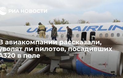 В авиакомпании рассказали, уволят ли пилотов, посадивших A320 в поле