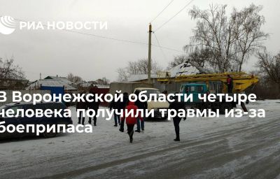 В Воронежской области четыре человека получили травмы из-за боеприпаса