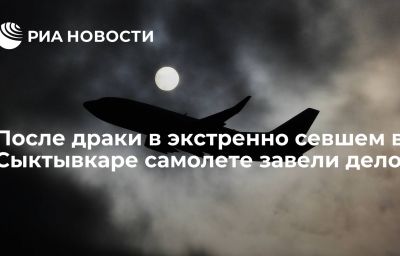 После драки в экстренно севшем в Сыктывкаре самолете завели дело