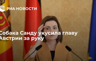 Собака Санду укусила главу Австрии за руку