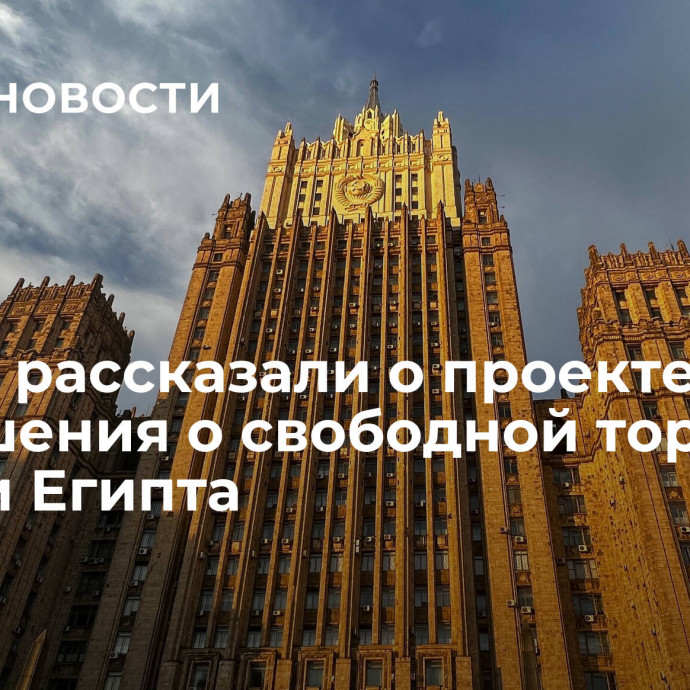 В МИД рассказали о проекте соглашения о свободной торговле ЕАЭС и Египта