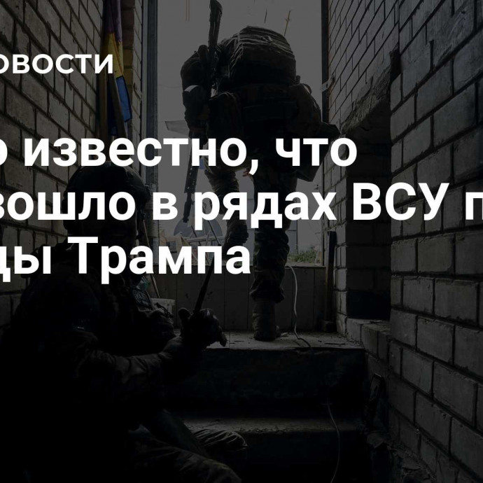 Стало известно, что произошло в рядах ВСУ после победы Трампа