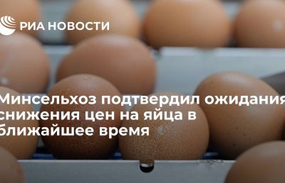 Минсельхоз подтвердил ожидания снижения цен на яйца в ближайшее время