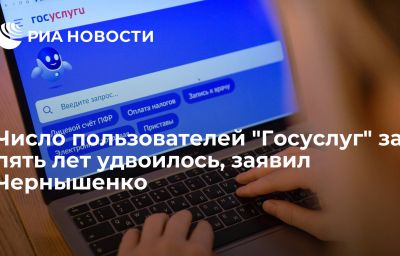 Число пользователей "Госуслуг" за пять лет удвоилось, заявил Чернышенко