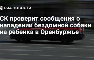 СК проверит сообщения о нападении бездомной собаки на ребенка в Оренбуржье