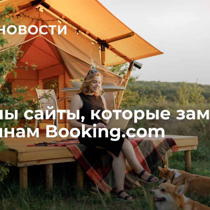 Названы сайты, которые заменили россиянам Booking.com