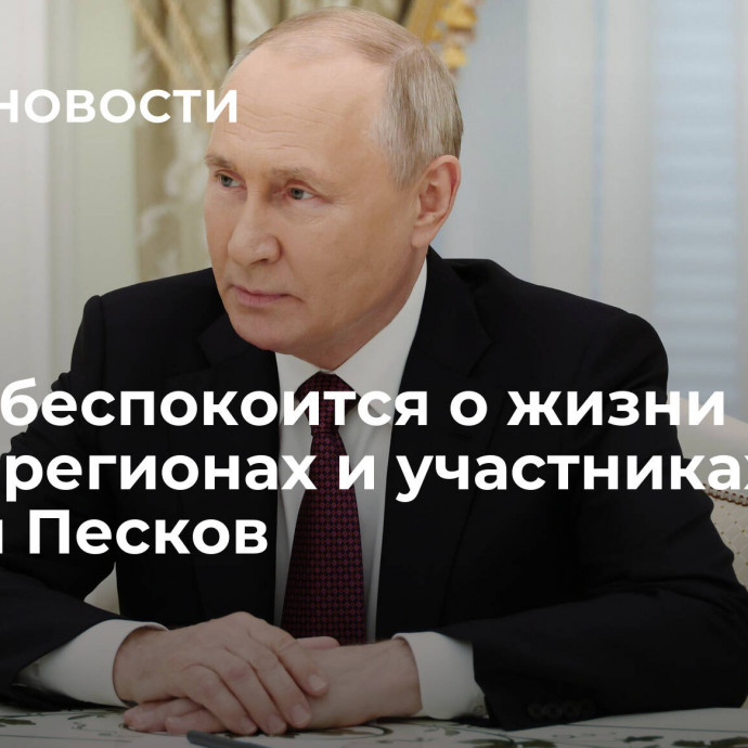 Путин беспокоится о жизни в новых регионах и участниках СВО, заявил Песков