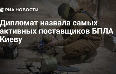 Дипломат назвала самых активных поставщиков БПЛА Киеву