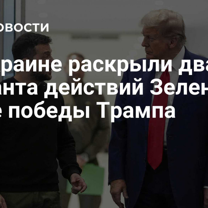 На Украине раскрыли два варианта действий Зеленского после победы Трампа