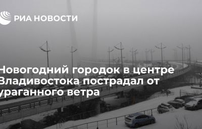 Новогодний городок в центре Владивостока пострадал от ураганного ветра