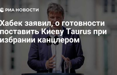 Хабек заявил, о готовности поставить Киеву Taurus при избрании канцлером