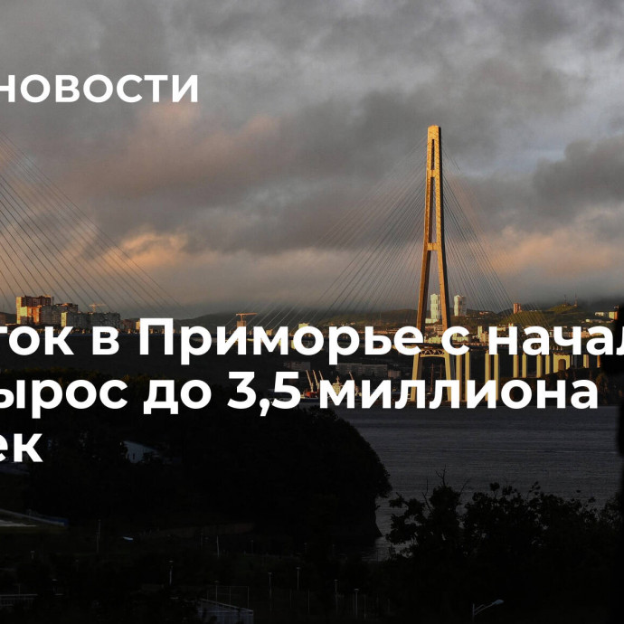 Турпоток в Приморье с начала года вырос до 3,5 миллиона человек